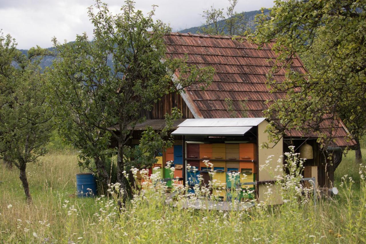 Apartma Petra Ravnik - Wanderer'S Hut Apartment Bohinj Ngoại thất bức ảnh